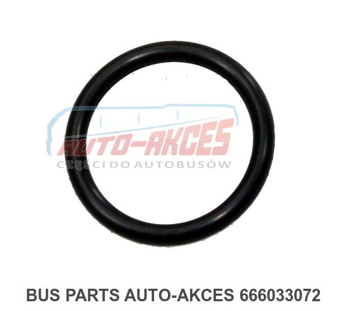 MB Setra Linning angle gear O-ring