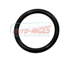 MB Setra Linning angle gear O-ring